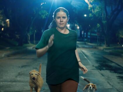 Nightbitch: Amy Adams e a Cão Perfeita Encontrada