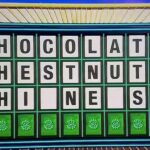 A Aposta Surpreendente de Contestante em Wheel of Fortune