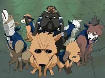 Inspiração por trás do design dos cachorros de Kakashi em Naruto Shippuden