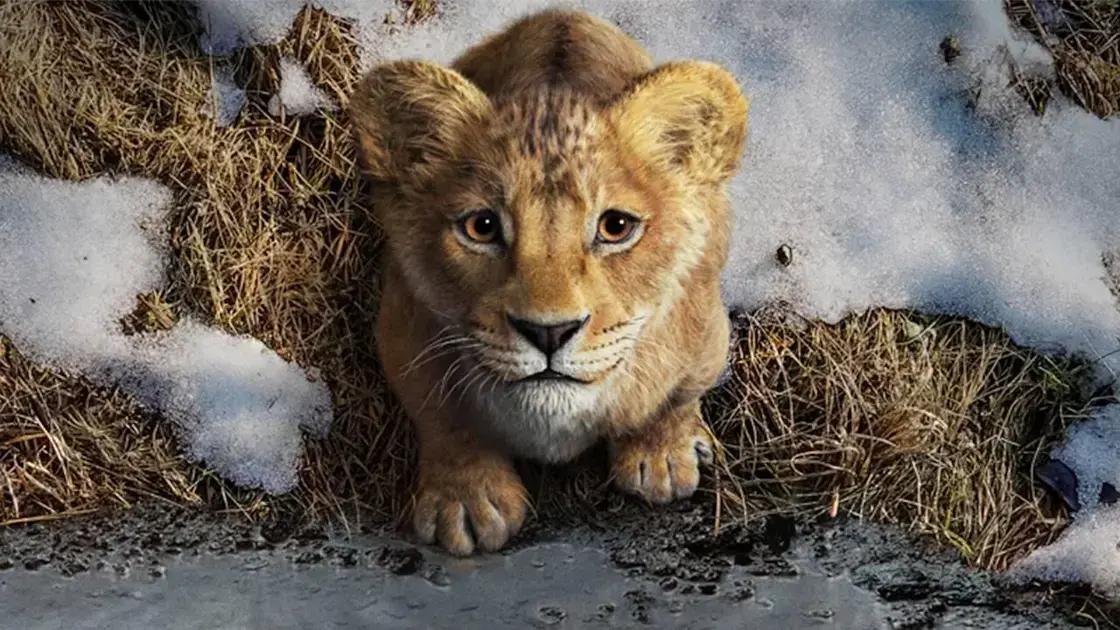 Mufasa: O Rei Leão - Críticas e Aprovação no Rotten Tomatoes